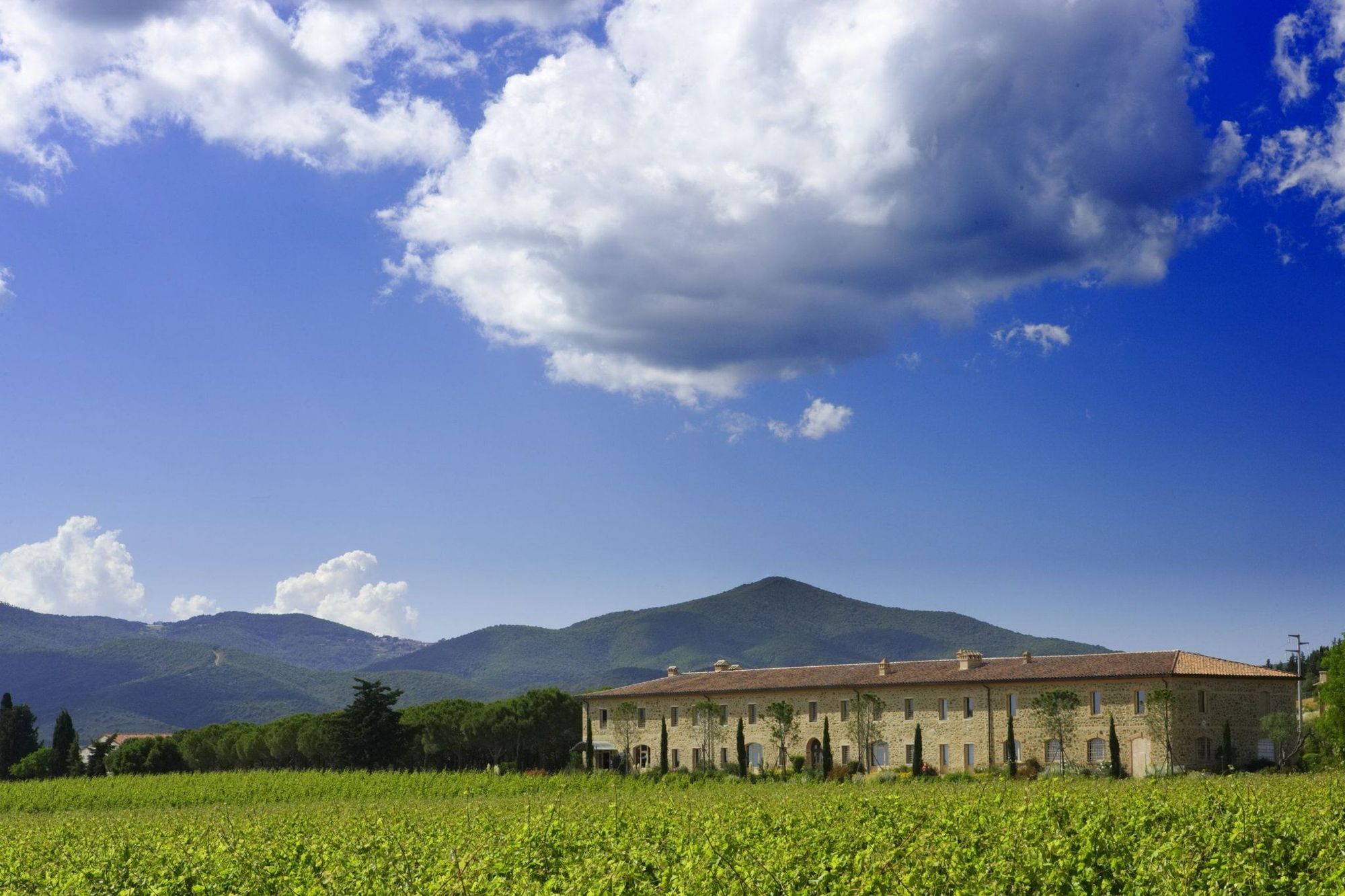 L'Andana Tenuta La Badiola Кастильоне-делла-Пеская Экстерьер фото