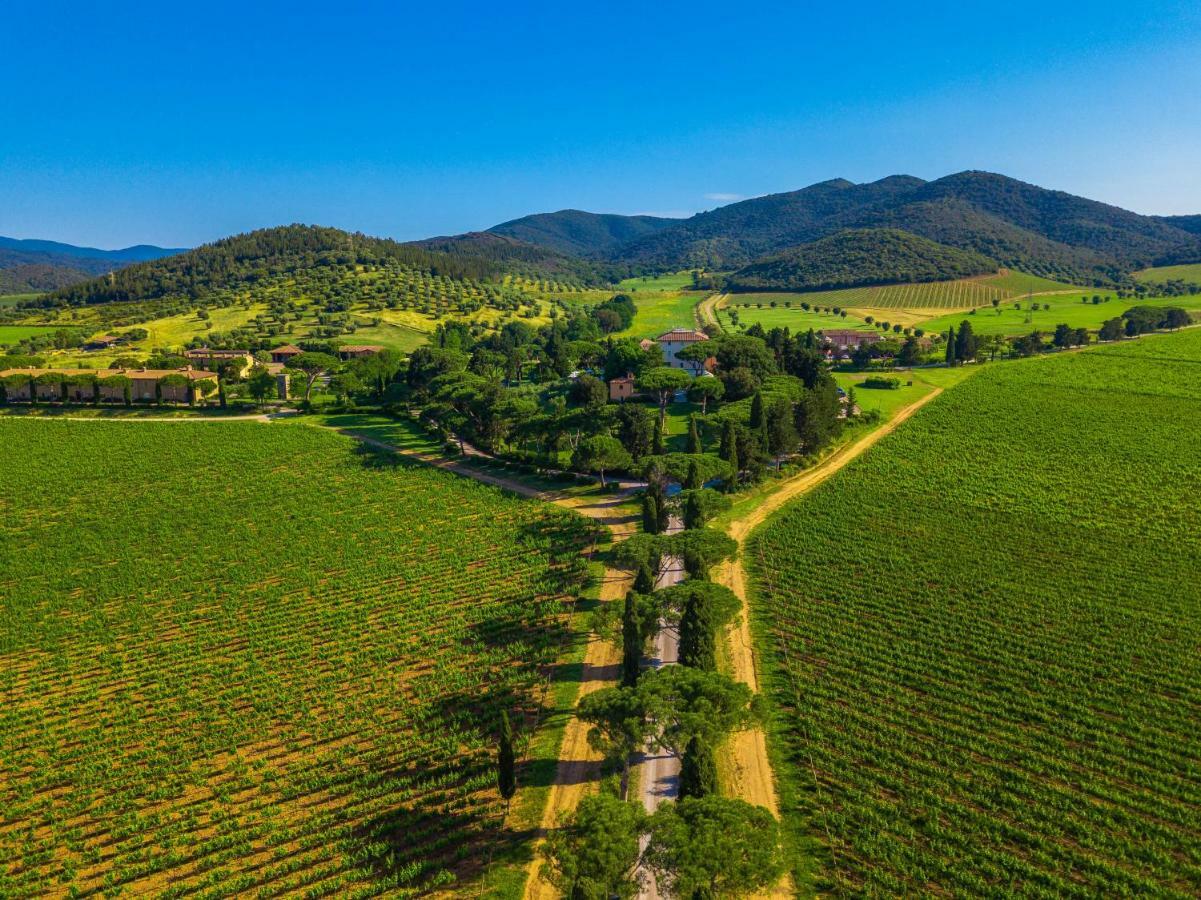 L'Andana Tenuta La Badiola Кастильоне-делла-Пеская Экстерьер фото